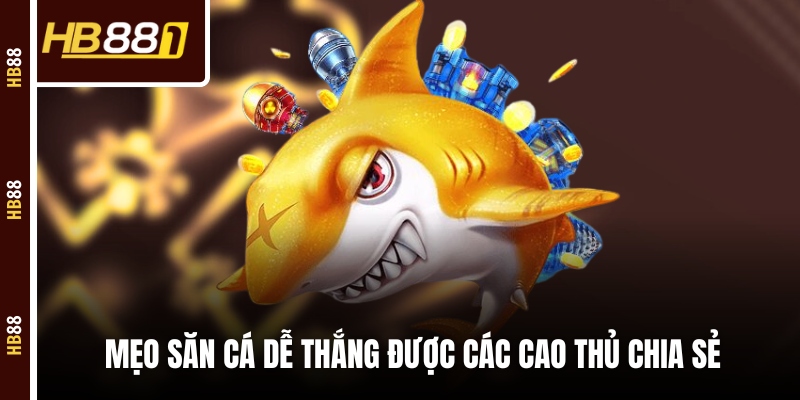 Mẹo săn cá dễ thắng được các cao thủ chia sẻ