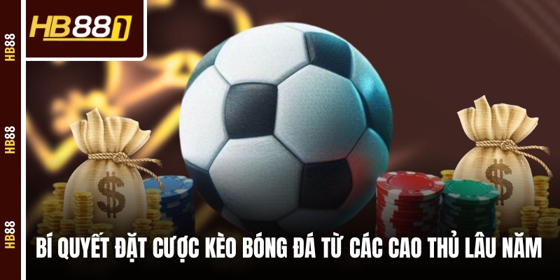 Bí quyết đặt cược kèo bóng đá từ các cao thủ lâu năm