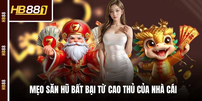 Mẹo săn hũ bất bại từ cao thủ của nhà cái 