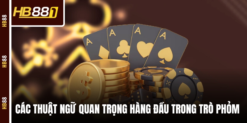 Các thuật ngữ quan trọng hàng đầu trong trò Phỏm 