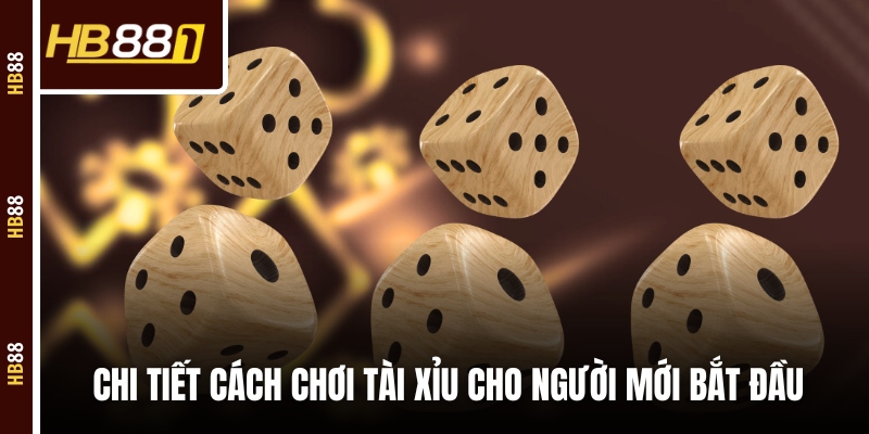 Chi tiết cách chơi tài xỉu cho người mới bắt đầu