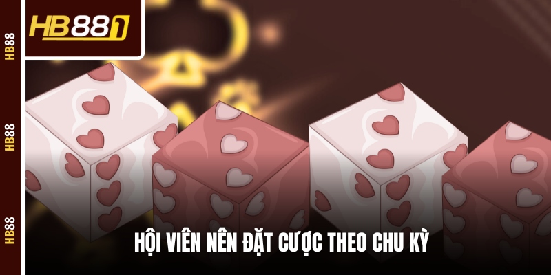 Hội viên nên đặt cược theo chu kỳ 