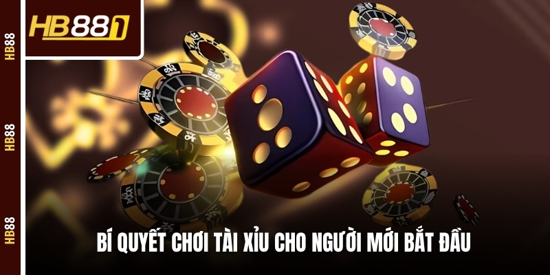 Bí quyết chơi tài xỉu cho người mới bắt đầu