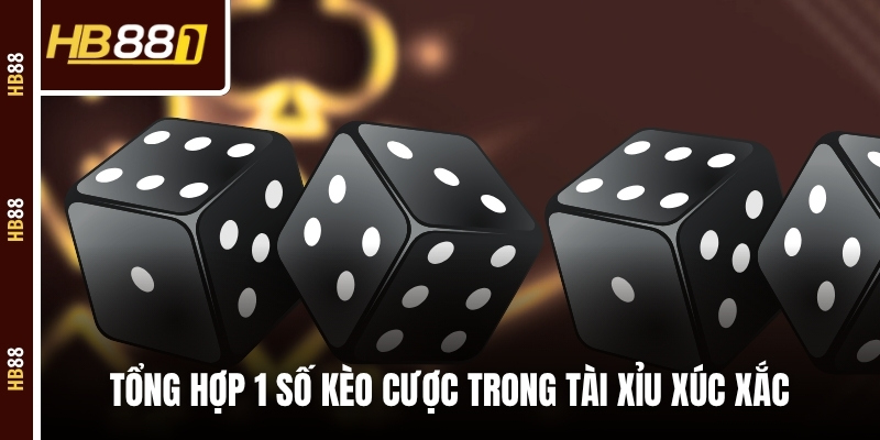 Tổng hợp 1 số kèo cược trong tài xỉu xúc xắc 