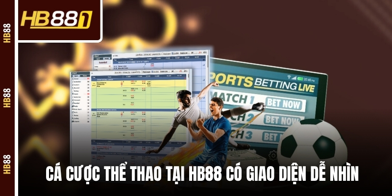 Cá cược thể thao tại HB88 có giao diện dễ nhìn