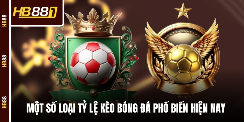 Một số loại tỷ lệ kèo bóng đá phổ biến hiện nay Một số loại tỷ lệ kèo bóng đá phổ biến hiện nay