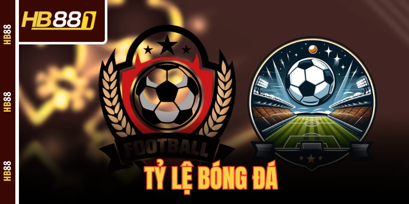 Tỷ Lệ Bóng Đá - Hướng Dẫn Cách Đọc Và Phân Tích Cho Newbie