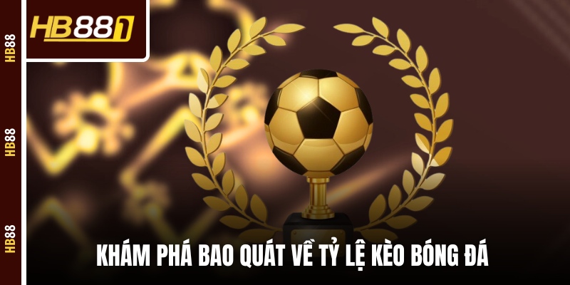 Khám phá bao quát về tỷ lệ kèo bóng đá Khám phá bao quát về tỷ lệ kèo bóng đá