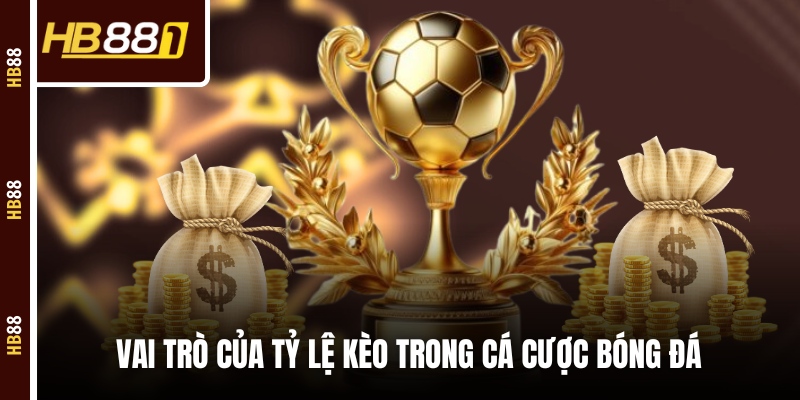 Vai trò của tỷ lệ kèo trong cá cược bóng đá Vai trò của tỷ lệ kèo trong cá cược bóng đá