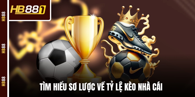 Tìm hiểu sơ lược về tỷ lệ kèo nhà cái Tìm hiểu sơ lược về tỷ lệ kèo nhà cái