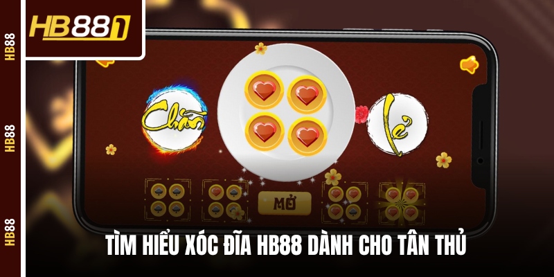 xoc dia tim hieu Tìm hiểu Xóc Đĩa HB88 dành cho tân thủ